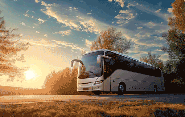 Автобусные перевозки